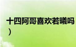 十四阿哥喜欢若曦吗（从什么时候喜欢若曦的）