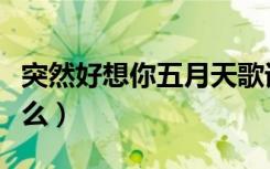 突然好想你五月天歌词（突然好想你歌词是什么）