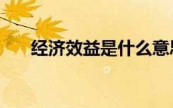 经济效益是什么意思（经济效益解释）