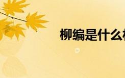 柳编是什么材质（柳编）