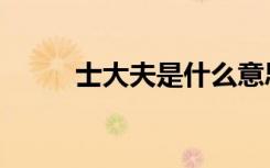 士大夫是什么意思（士大夫解释）