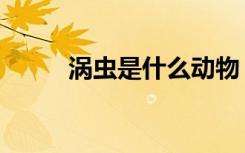 涡虫是什么动物（涡虫简单介绍）