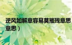 逆风如解意容易莫摧残意思（逆风如解意容易莫摧残是什么意思）