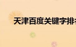 天津百度关键字排名（天津百度排名）