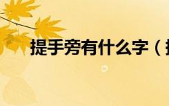 提手旁有什么字（提手旁字都有什么）