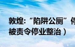 敦煌:“陷阱公厕”停业整治（敦煌陷阱公厕被责令停业整治）