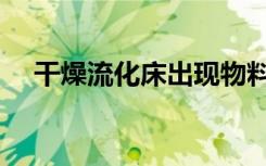 干燥流化床出现物料跑偏（干燥流化床）