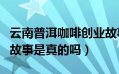 云南普洱咖啡创业故事是真的吗（普洱咖啡的故事是真的吗）