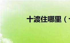 十渡住哪里（十渡水上人家）