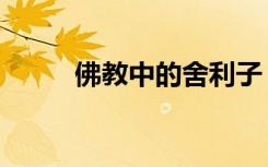 佛教中的舍利子（佛舍利是什么）