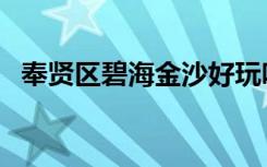 奉贤区碧海金沙好玩吗（碧海金沙好玩吗）