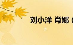 刘小洋 肖娜（肖娜刘小洋）