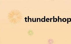 thunderbhoplatform是什么