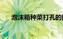 泡沫箱种菜打孔的图片（泡沫箱种菜）