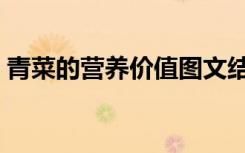 青菜的营养价值图文结合（青菜的营养价值）