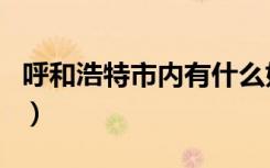 呼和浩特市内有什么好玩的（呼和浩特好玩吗）