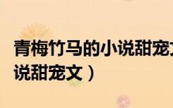 青梅竹马的小说甜宠文校园文（青梅竹马的小说甜宠文）