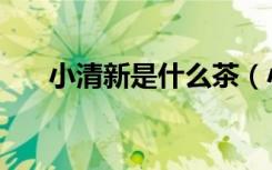 小清新是什么茶（小清新是什么意思）