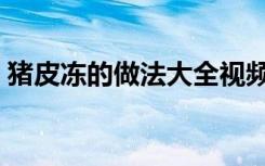 猪皮冻的做法大全视频（猪皮冻的做法大全）