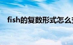 fish的复数形式怎么变（fish的复数形式）