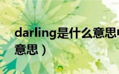 darling是什么意思中文（英语darling什么意思）