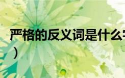 严格的反义词是什么字（严格的反义词是什么）
