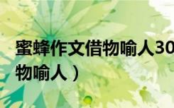 蜜蜂作文借物喻人300字五年级（蜜蜂作文借物喻人）