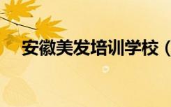 安徽美发培训学校（安徽美容美发学校）