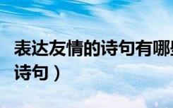 表达友情的诗句有哪些小学题目（表达友情的诗句）