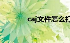 caj文件怎么打开（caj文件）