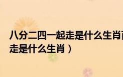 八分二四一起走是什么生肖百度找最佳答案（八分二四一起走是什么生肖）