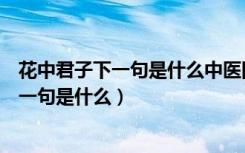 花中君子下一句是什么中医四诊下一句是什么（花中君子下一句是什么）