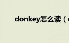donkey怎么读（donkey英文解释）