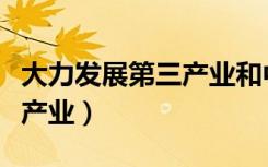 大力发展第三产业和中小企业（大力发展第三产业）