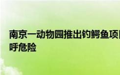 南京一动物园推出钓鳄鱼项目，孩子持杆吊食投喂，网友直呼危险