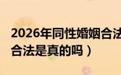 2026年同性婚姻合法投票（2026年同性婚姻合法是真的吗）