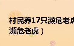 村民养17只濒危老虎n.zrh86（村民养17只濒危老虎）