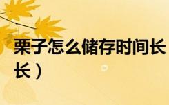 栗子怎么储存时间长（栗子怎样储存放的时间长）