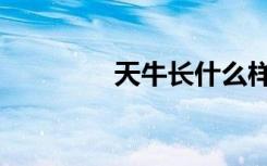 天牛长什么样（天牛介绍）