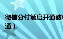 微信分付额度开通教程（微信分付额度如何开通）