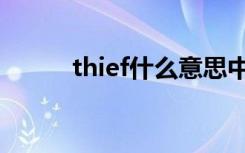 thief什么意思中文（thief翻译）