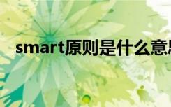 smart原则是什么意思（smart原则介绍）
