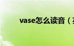 vase怎么读音（英语vase怎么读）