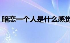 暗恋一个人是什么感觉（暗恋一个人的感觉）