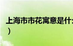 上海市市花寓意是什么（上海市市花寓意是啥）