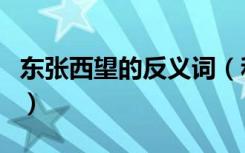 东张西望的反义词（和东张西望意思相反的词）