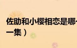 佐助和小樱相恋是哪一集（佐助对小樱告白哪一集）