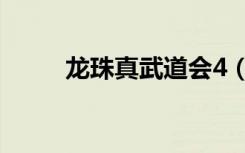 龙珠真武道会4（龙珠真武道会3）