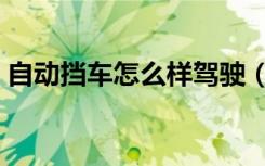 自动挡车怎么样驾驶（自动档车怎样怎驾驶）