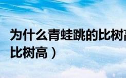 为什么青蛙跳的比树高（为什么青蛙可以跳得比树高）